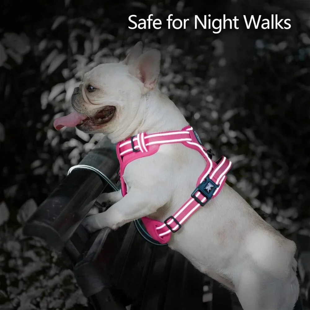 PoyPet No Pull Dog Harness, No Choke , Adjustable, Size XL